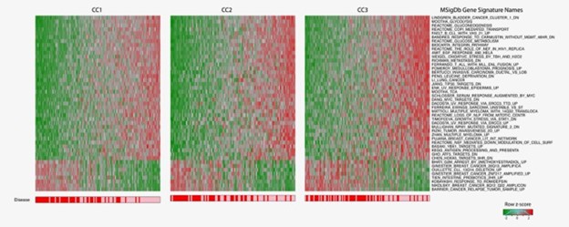 【佳学基因检测】CDR1遗传测试有突变怎么办？